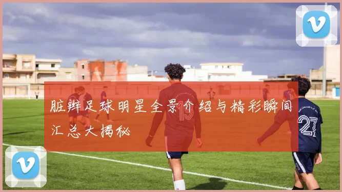 脏辫足球明星全景介绍与精彩瞬间汇总大揭秘
