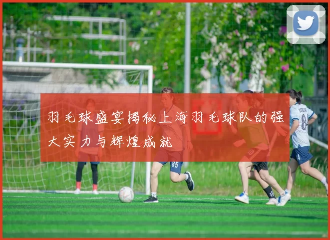 羽毛球盛宴揭秘上海羽毛球队的强大实力与辉煌成就