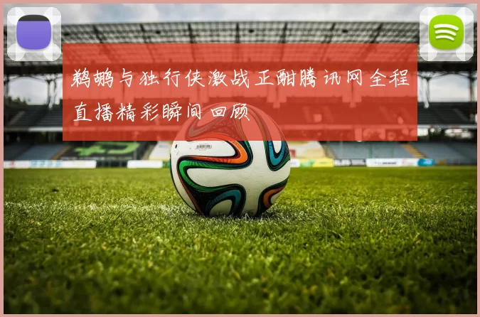 鹈鹕与独行侠激战正酣腾讯网全程直播精彩瞬间回顾