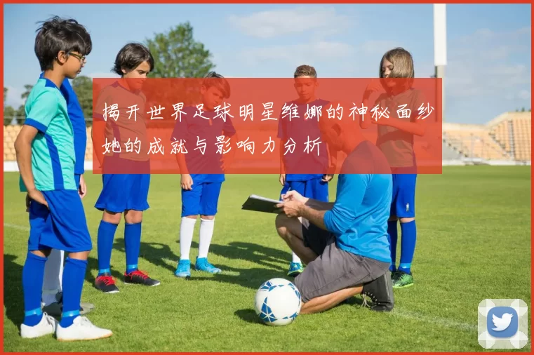 揭开世界足球明星维娜的神秘面纱她的成就与影响力分析