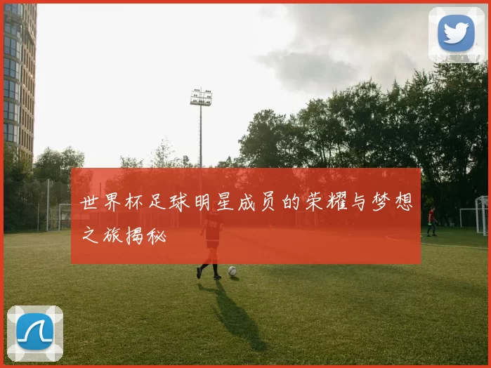 世界杯足球明星成员的荣耀与梦想之旅揭秘