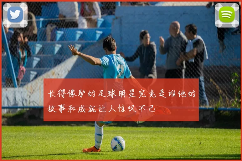 长得像驴的足球明星究竟是谁他的故事和成就让人惊叹不已