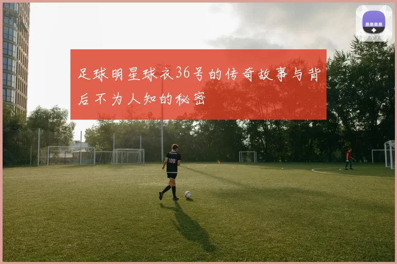 足球明星球衣36号的传奇故事与背后不为人知的秘密