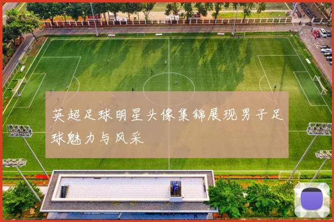 英超足球明星头像集锦展现男子足球魅力与风采