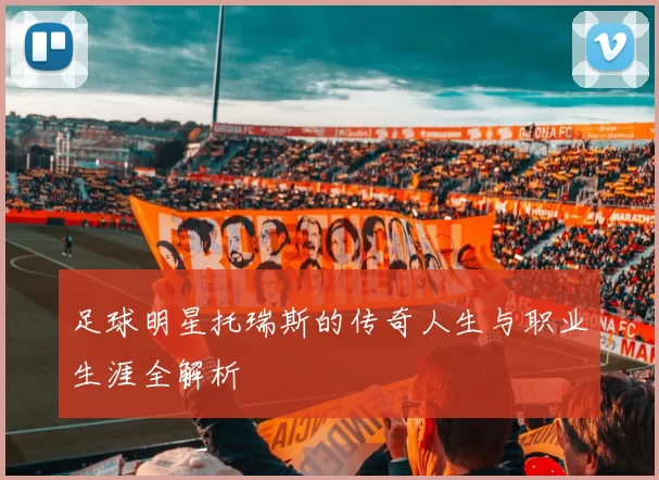 足球明星托瑞斯的传奇人生与职业生涯全解析