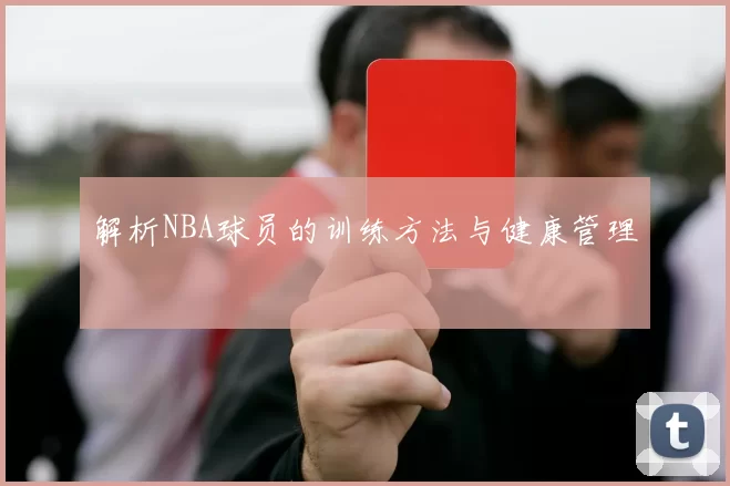 解析NBA球员的训练方法与健康管理