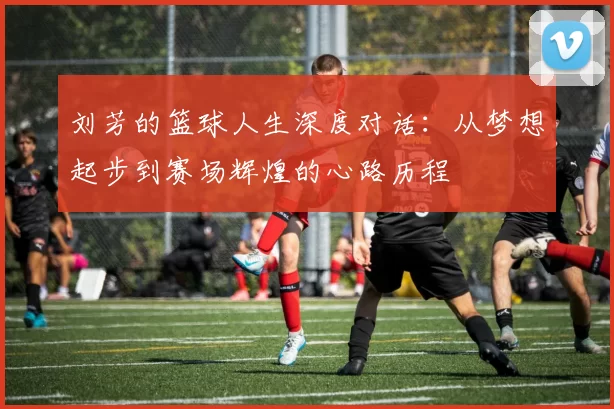 刘芳的篮球人生深度对话：从梦想起步到赛场辉煌的心路历程