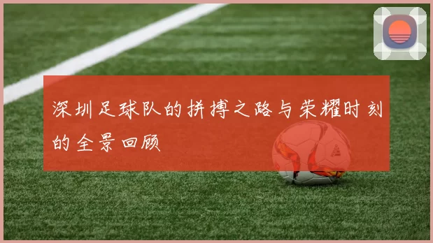 深圳足球队的拼搏之路与荣耀时刻的全景回顾