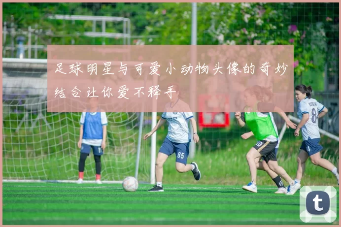 足球明星与可爱小动物头像的奇妙结合让你爱不释手