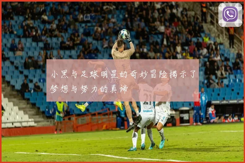 小黑与足球明星的奇妙冒险揭示了梦想与努力的真谛