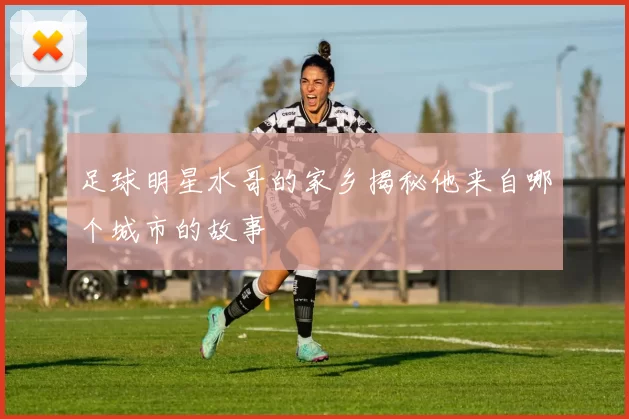 足球明星水哥的家乡揭秘他来自哪个城市的故事