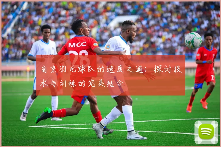 南京羽毛球队的速度之道：探讨技术与训练的完美结合