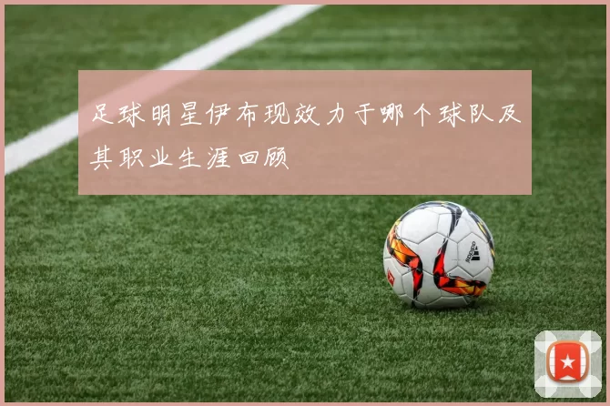 足球明星伊布现效力于哪个球队及其职业生涯回顾