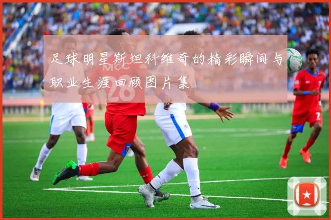 足球明星斯坦科维奇的精彩瞬间与职业生涯回顾图片集