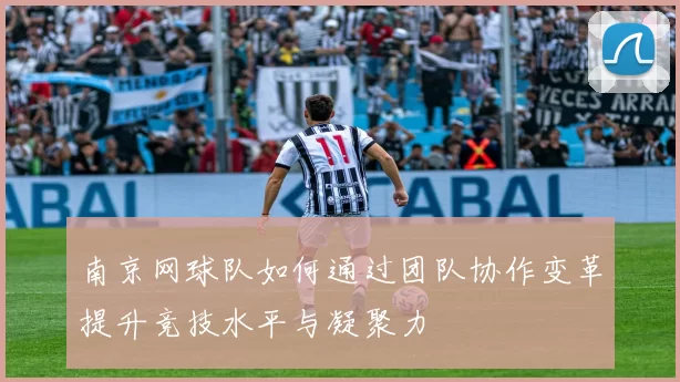南京网球队如何通过团队协作变革提升竞技水平与凝聚力