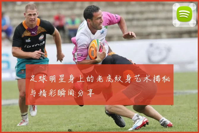 足球明星身上的老虎纹身艺术揭秘与精彩瞬间分享