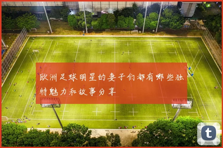 欧洲足球明星的妻子们都有哪些独特魅力和故事分享
