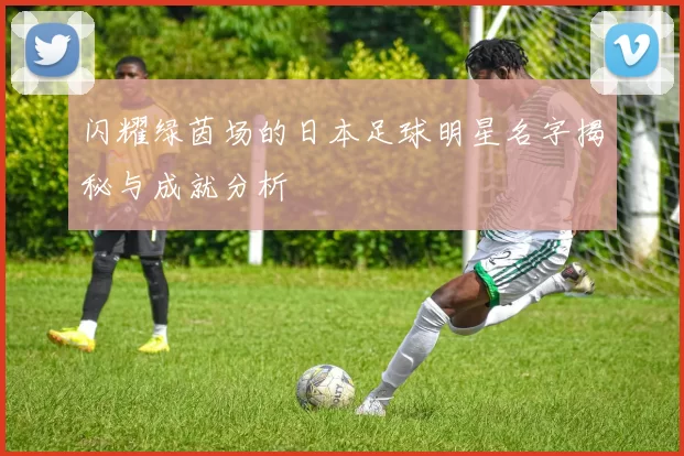 闪耀绿茵场的日本足球明星名字揭秘与成就分析